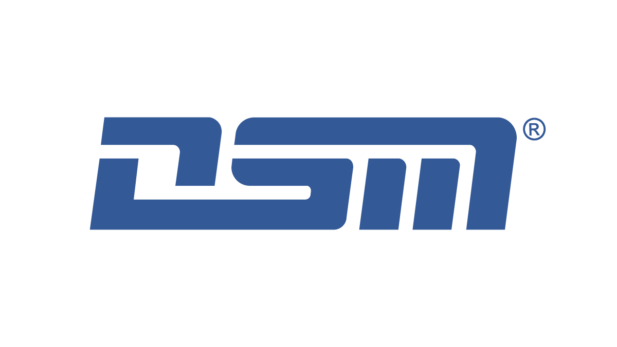 DSM Messtechnik